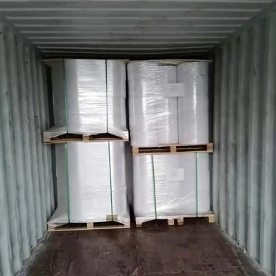 Self-adhesive 70g Offset Woodfree Jumbo Ntawv